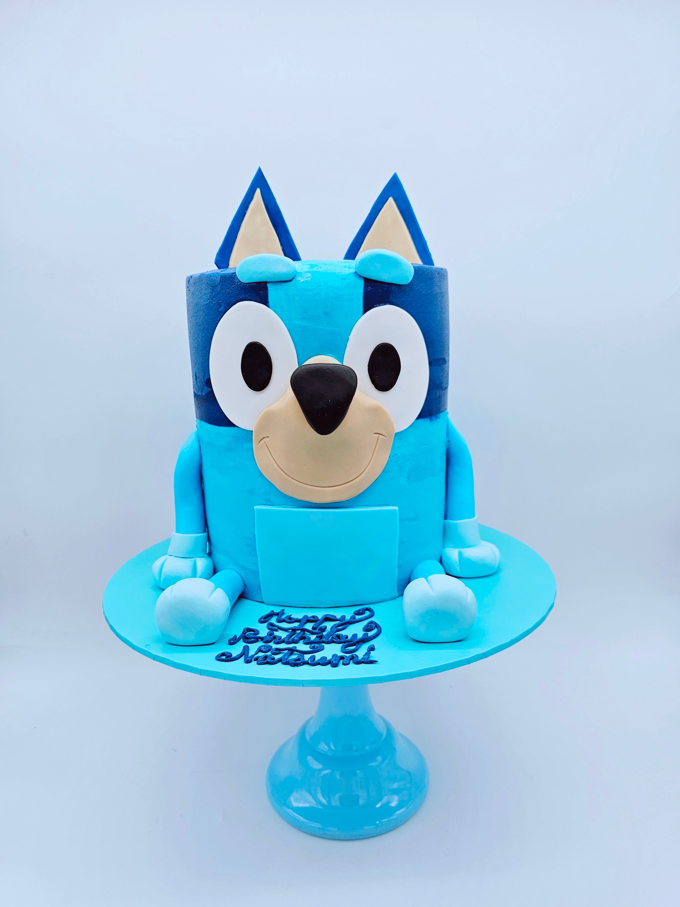 Bluey Inspired 3D Character Birthday Cake