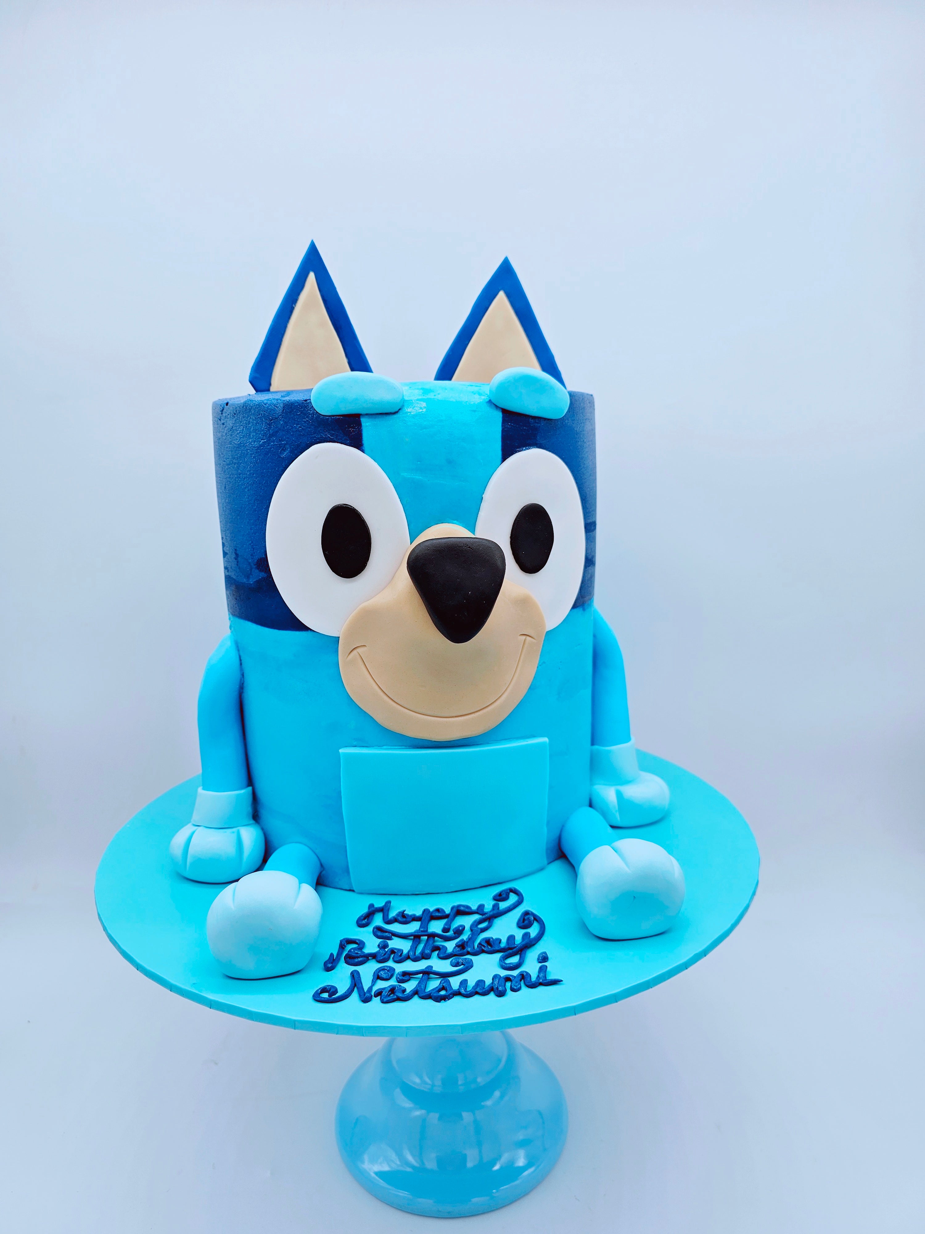 Bluey Inspired 3D Character Birthday Cake