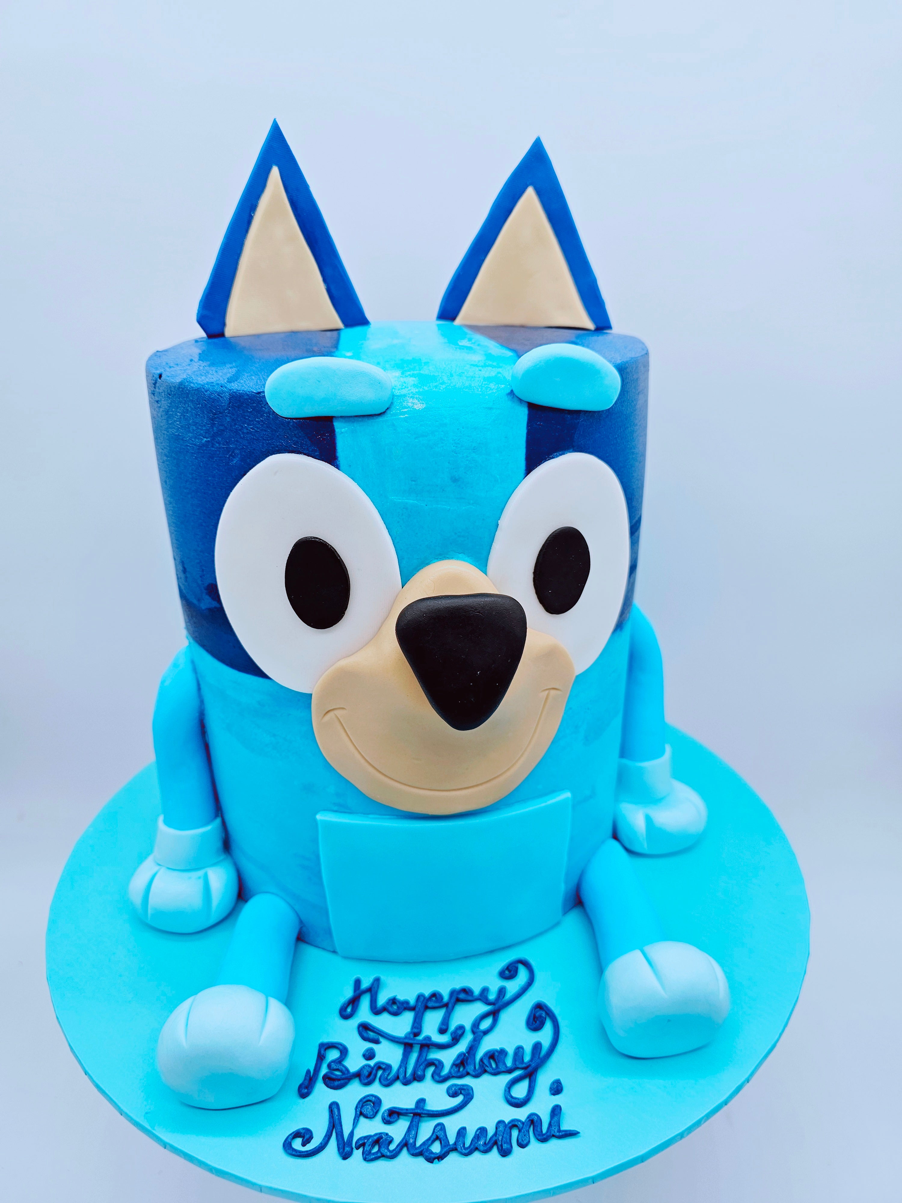 Bluey Inspired 3D Character Birthday Cake